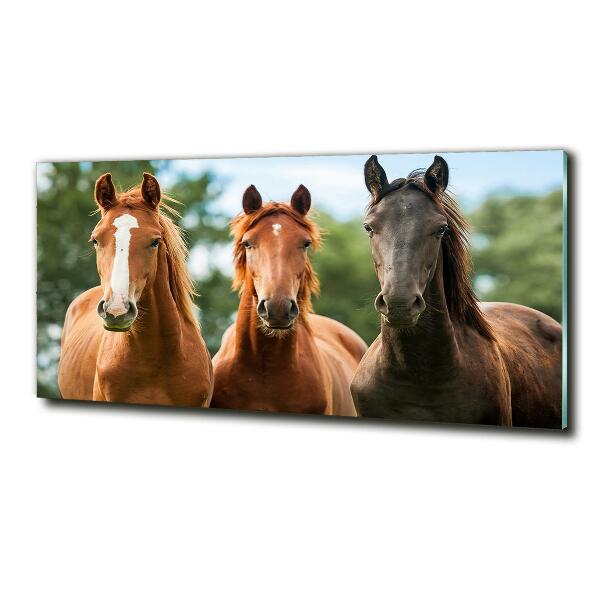 Foto schilderij op glas Drie paarden