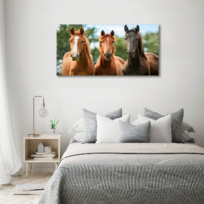 Foto schilderij op glas Drie paarden