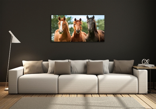 Foto schilderij op glas Drie paarden
