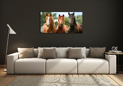 Foto schilderij op glas Drie paarden