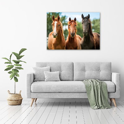 Foto schilderij op glas Drie paarden