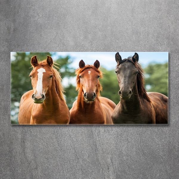 Foto schilderij op glas Drie paarden