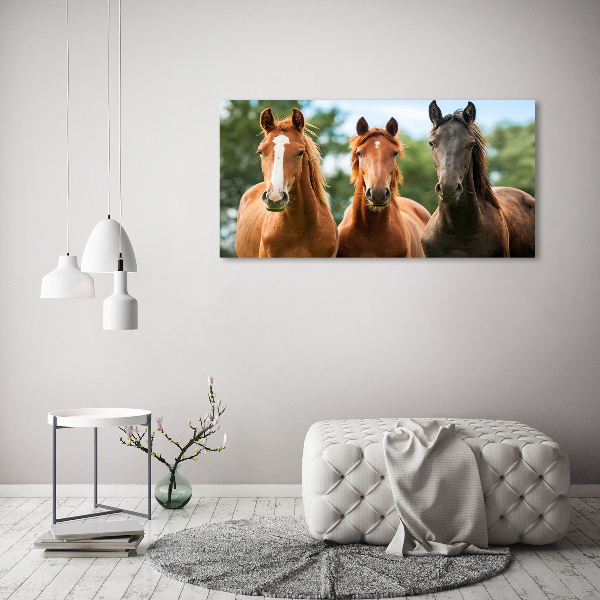 Foto schilderij op glas Drie paarden
