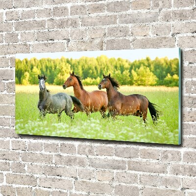 Schilderij op glas Paarden in galop