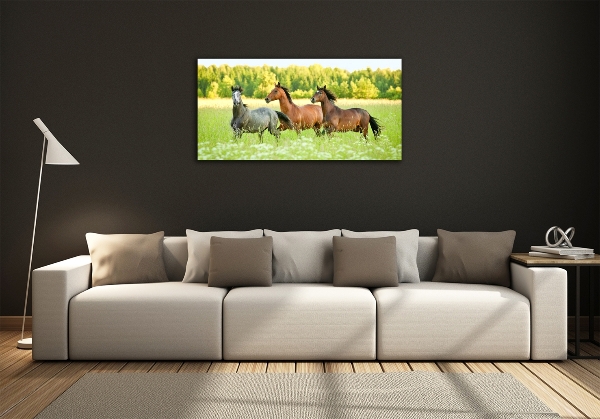 Schilderij op glas Paarden in galop
