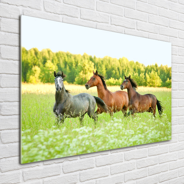 Schilderij op glas Paarden in galop