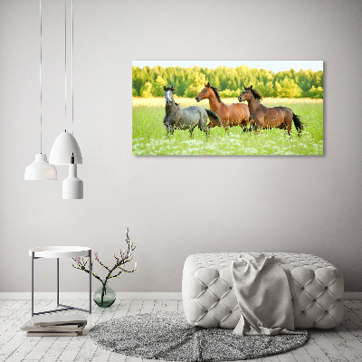 Schilderij op glas Paarden in galop