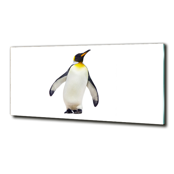 Schilderij glas Pinguïn