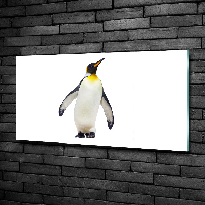 Schilderij glas Pinguïn