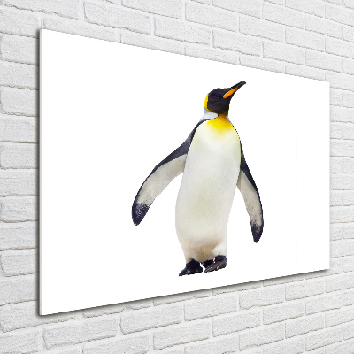 Schilderij glas Pinguïn