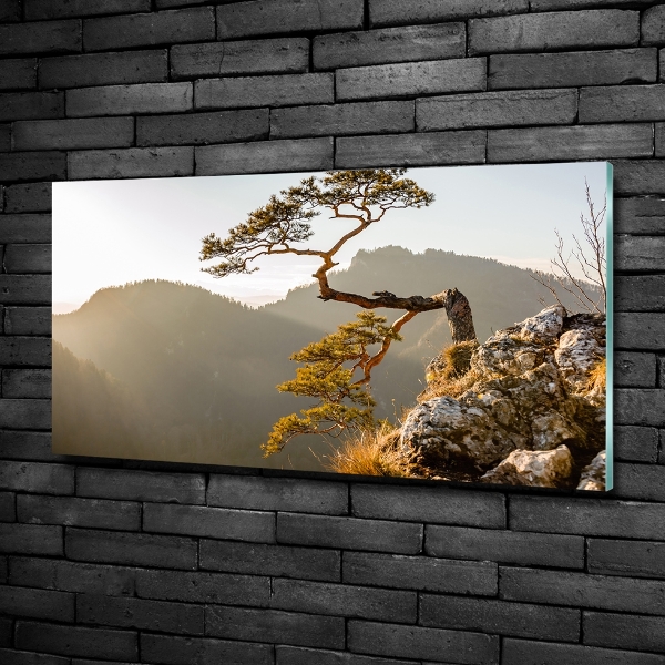 Schilderij op glas Sokolica Pieniny