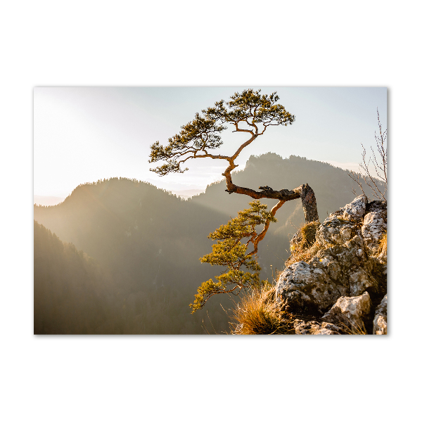 Schilderij op glas Sokolica Pieniny
