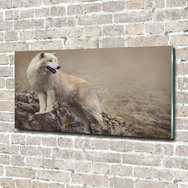 Foto schilderij op glas Witte wolf op een rots