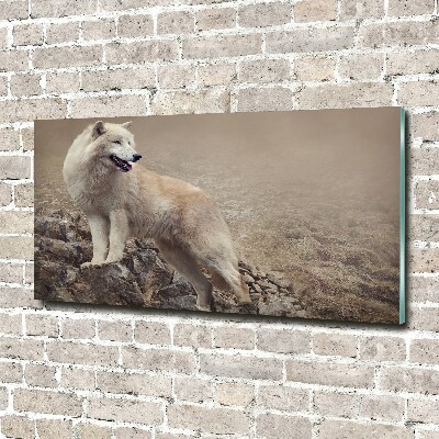Foto schilderij op glas Witte wolf op een rots