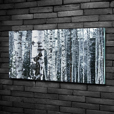 Schilderij glas Berkenbomen