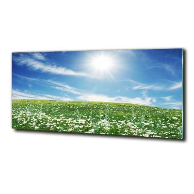 Schilderij op glas Wei