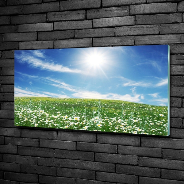 Schilderij op glas Wei