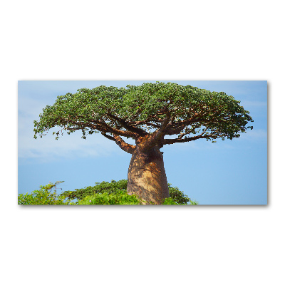 Foto schilderij op glas Baobab