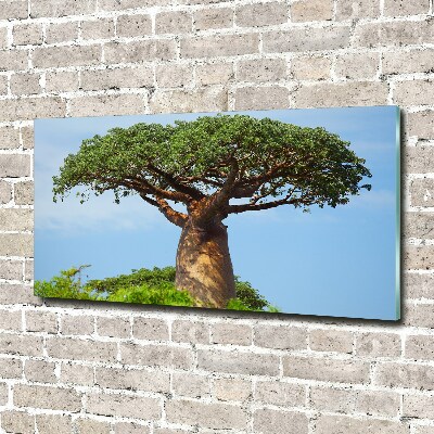 Foto schilderij op glas Baobab