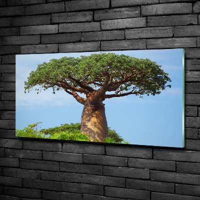 Foto schilderij op glas Baobab