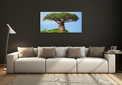 Foto schilderij op glas Baobab