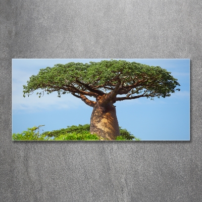 Foto schilderij op glas Baobab