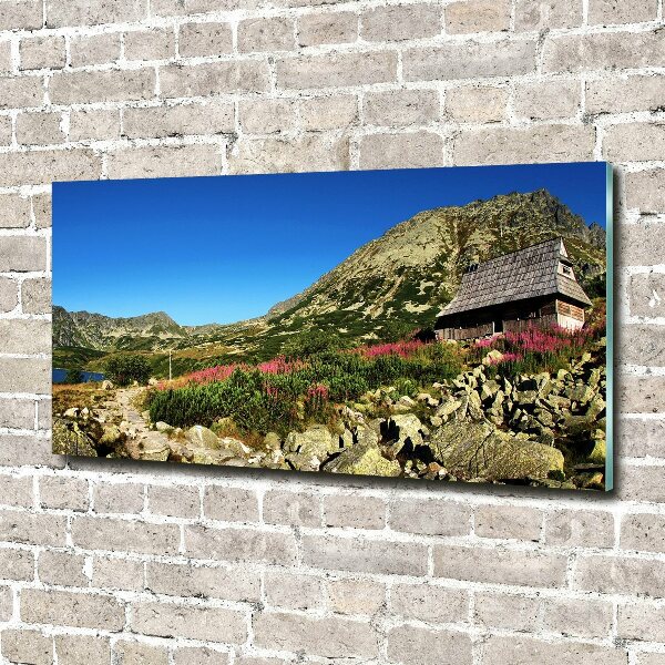 Foto schilderij op glas Herdershut in het dal