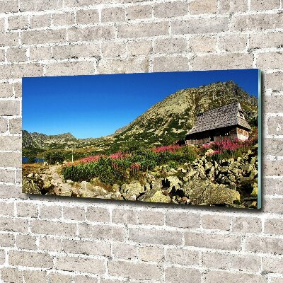 Foto schilderij op glas Herdershut in het dal