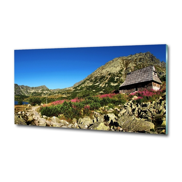 Foto schilderij op glas Herdershut in het dal