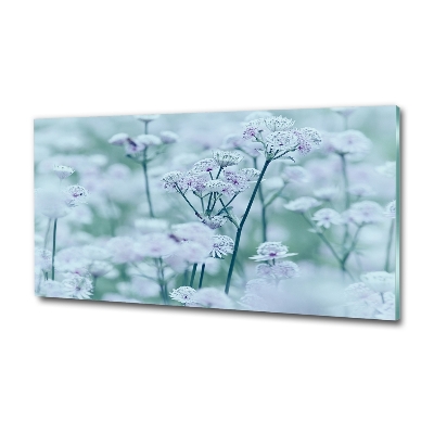 Glazen schilderij Grote mantelkruid
