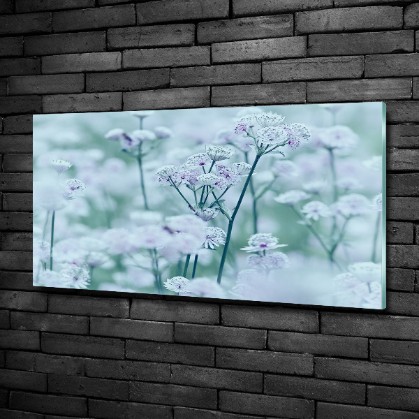 Glazen schilderij Grote mantelkruid