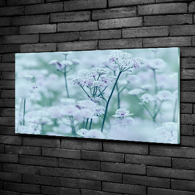 Glazen schilderij Grote mantelkruid