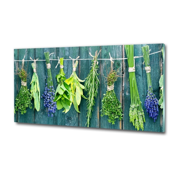 Glazen schilderij Kruiden aan een touwtje