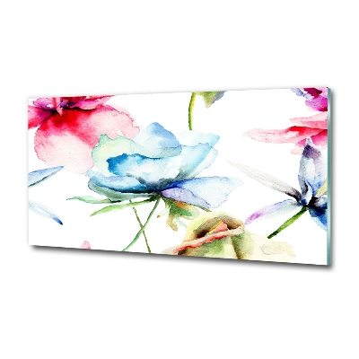 Foto schilderij op glas Klaprozen