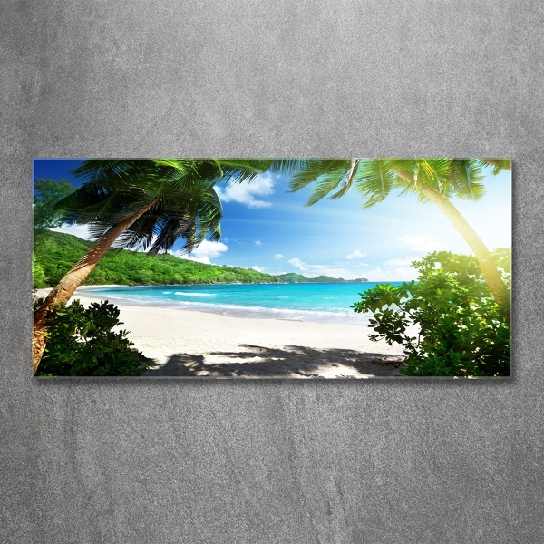 Schilderij op glas strand op de Seychellen