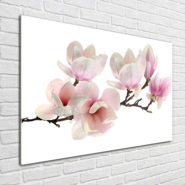 Schilderij glas Magnolia