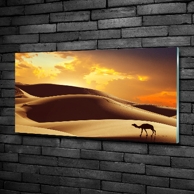 Schilderij glas Sahara-kameel