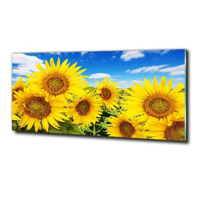 Schilderij glas Zonnebloemen