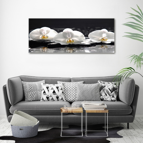 Glazen schilderij Orchidee