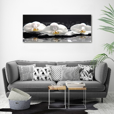 Glazen schilderij Orchidee