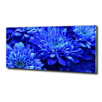 Foto schilderij op glas Blauwe aster