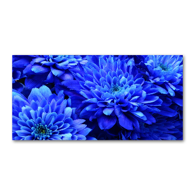 Foto schilderij op glas Blauwe aster