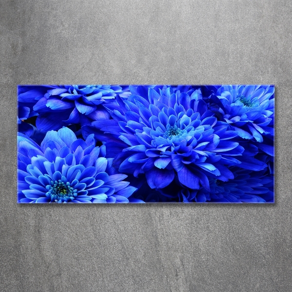 Foto schilderij op glas Blauwe aster