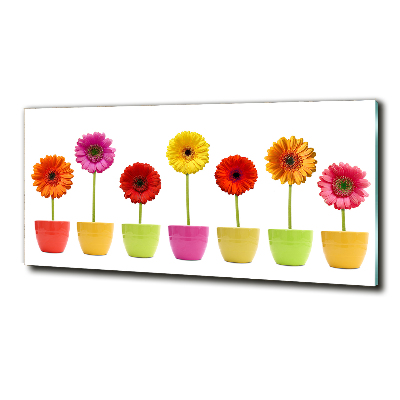 Schilderij op glas Kleurrijke gerbera's