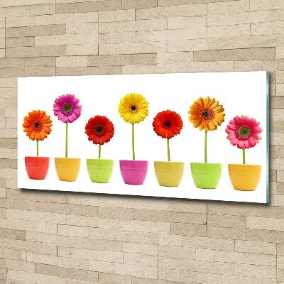 Schilderij op glas Kleurrijke gerbera's
