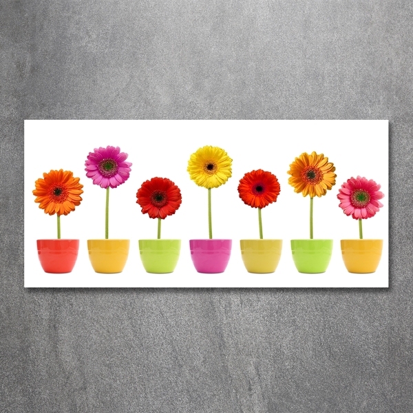 Schilderij op glas Kleurrijke gerbera's