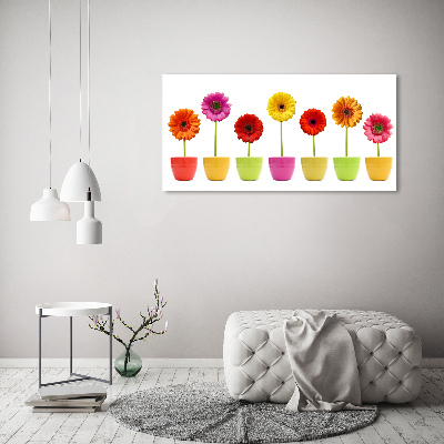 Schilderij op glas Kleurrijke gerbera's