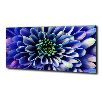 Schilderij glas Aster