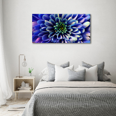 Schilderij glas Aster