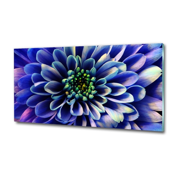 Schilderij glas Aster